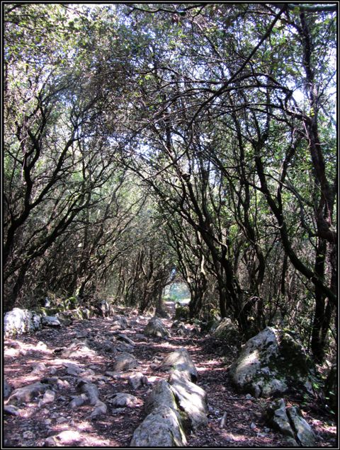 Камино де Сантьяго дель Норте (Путь Святого Иакова) 800 км пешком по Испании