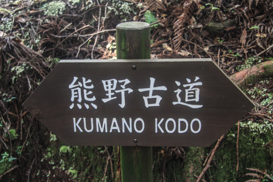 Пилигримский путь Кумано Кодо, таинственные Курасики, олени, кусочек тайфуна и открывшаяся Фудзияма