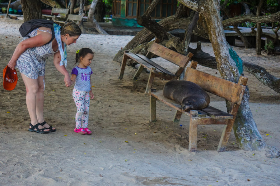 Эквадор с трехлеткой: Галапагосы, вулканы, джунгли
